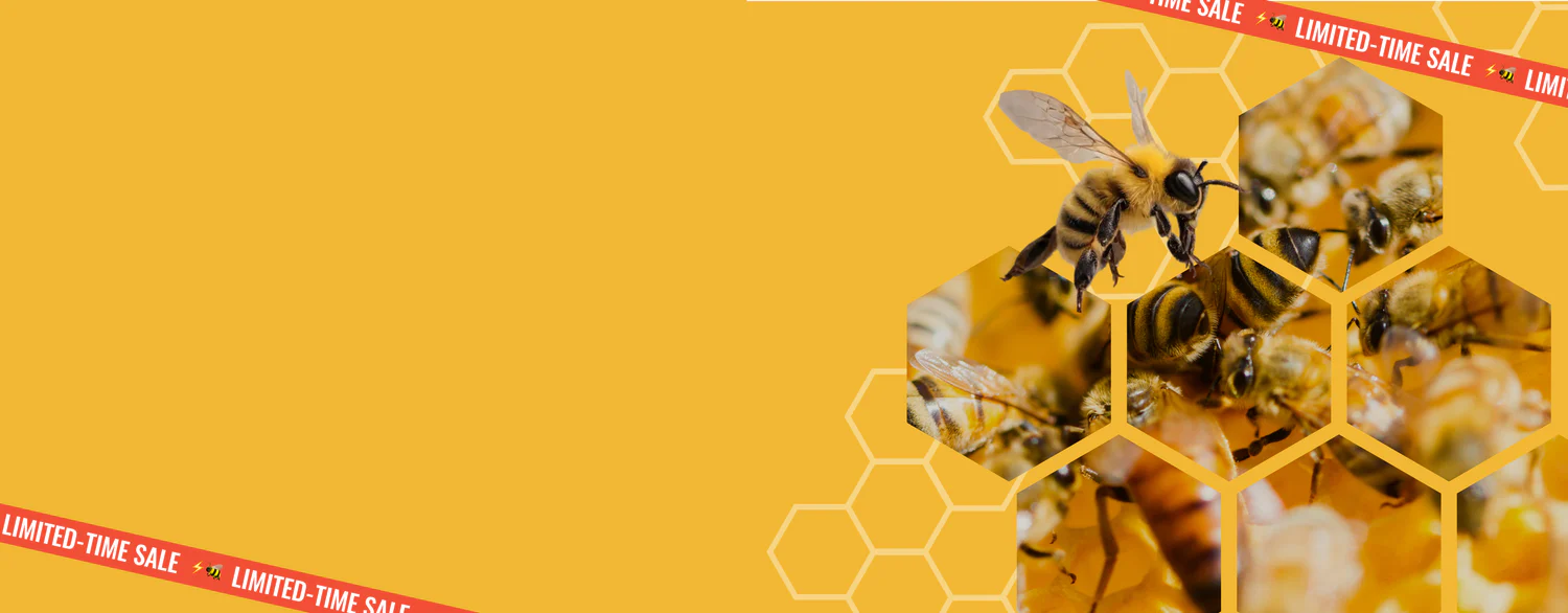 Master the Art of Beekeeping